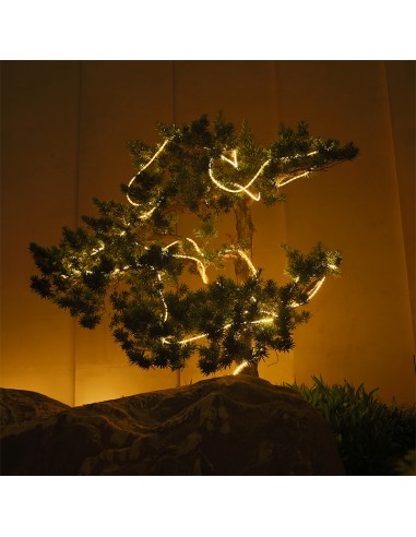 Faixa Solar - 10 Metros 2000K