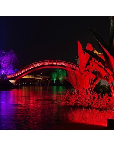 100W RGB Solar Projector